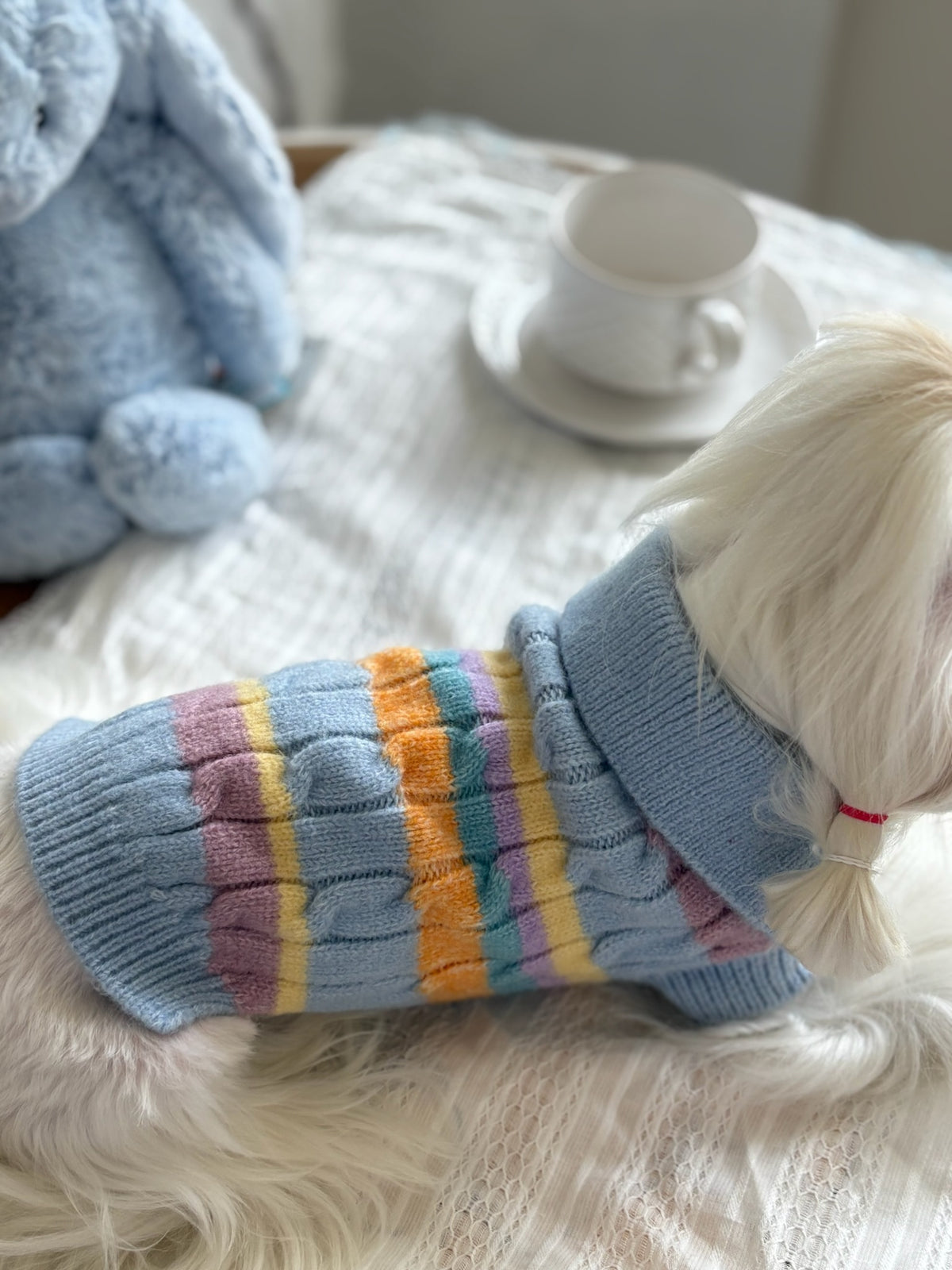犬服 パステルボーダー ケーブルニットポロ