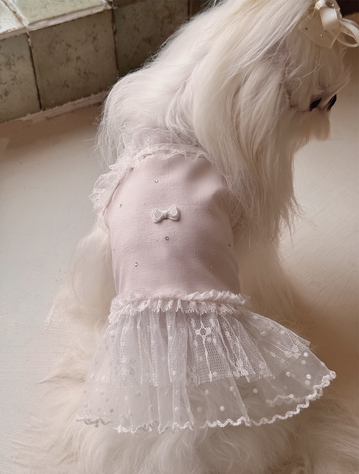 犬服 プティレースドレス