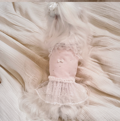 犬服 プティレースドレス