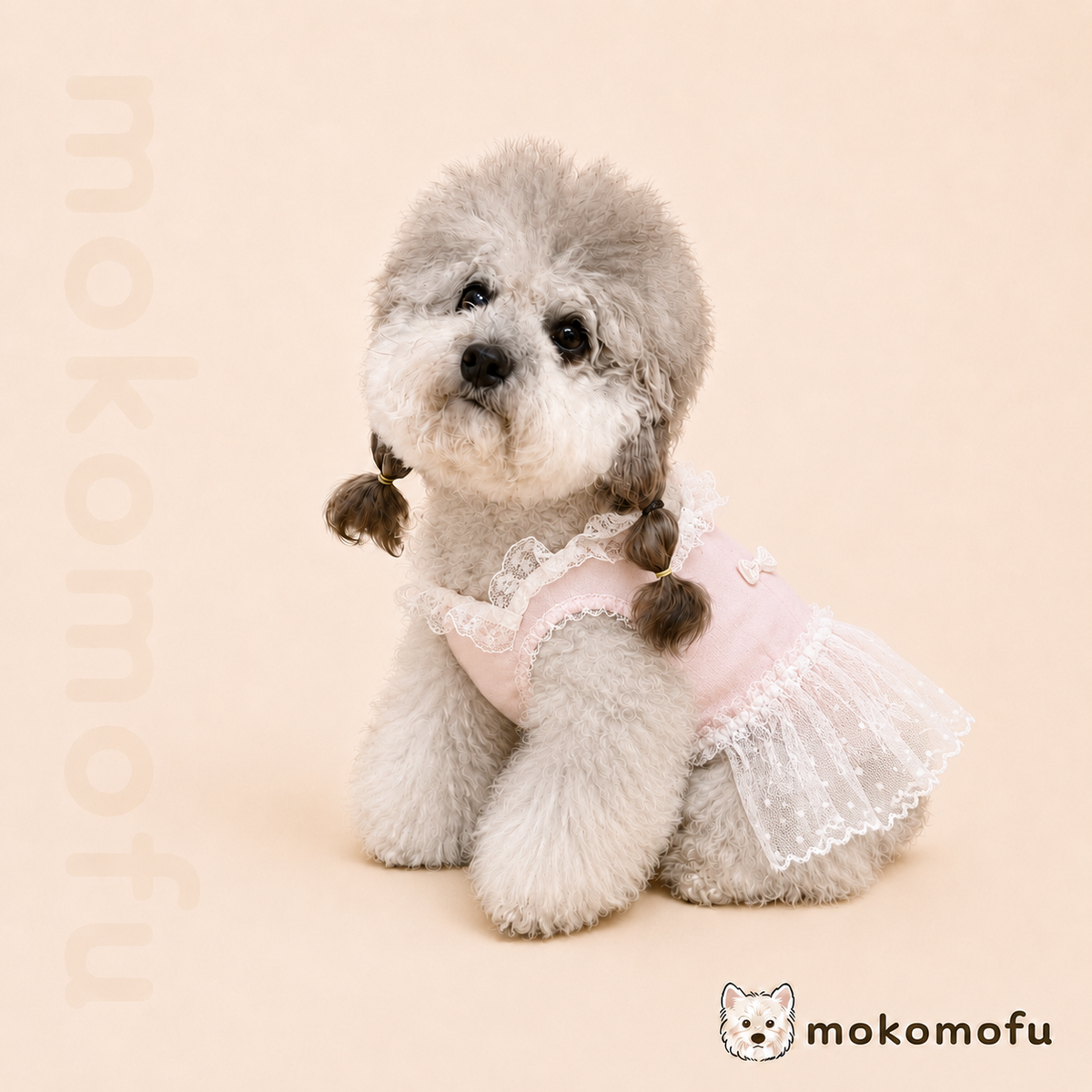 犬服 プティレースドレス