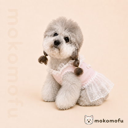 犬服 プティレースドレス