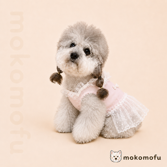 犬服 プティレースドレス