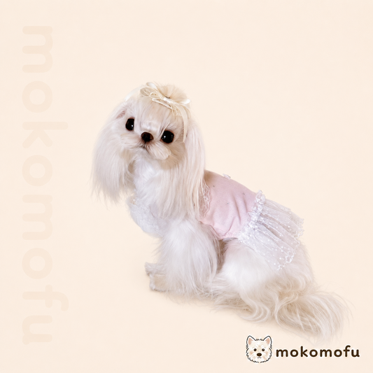 犬服 プティレースドレス