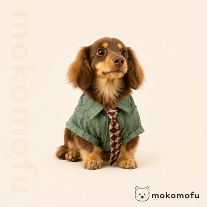 犬服 春夏 紳士風 シャツ ブリティッシュ