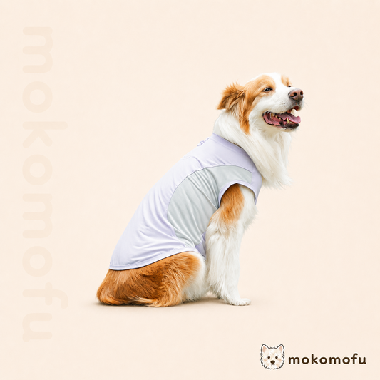 犬服 アイスシルク 春夏 Tシャツ