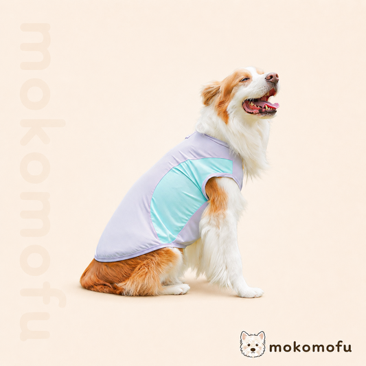 犬服 アイスシルク 春夏 Tシャツ