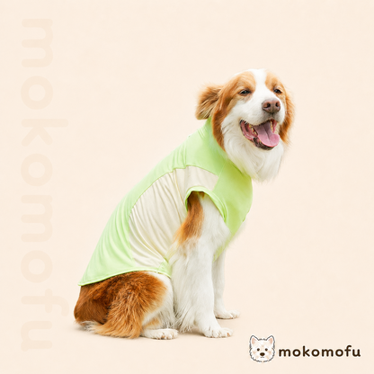 犬服 アイスシルク 春夏 Tシャツ