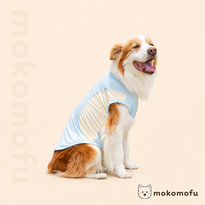 犬服 アイスシルク 春夏 Tシャツ