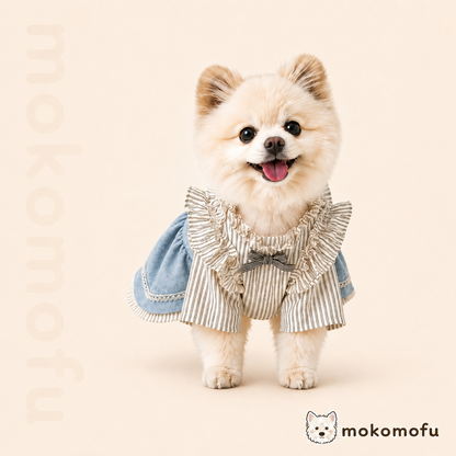 Dog clothes denim dress jumper skirt